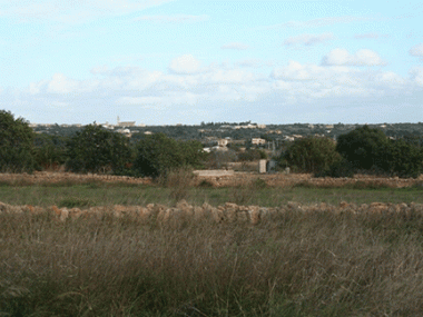 L’Ajuntament rehabilitarà un nou camí que connecti Ses Salines i la Colònia de Sant Jordi