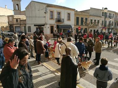 Revetlla i ses Beneïdes de Sant Antoni 2017 a ses Salines