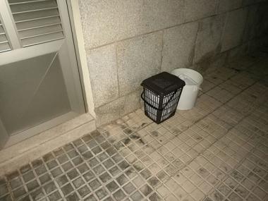 Ses Salines conclou la primera setmana del ‘porta a porta’ amb un èxit del 98%