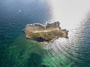 Ses Salines presenta a  Fitur la declaració de 2018 com l’any fenici al municipi