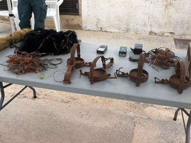 Mostra de caça	