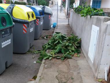 Crida a la ciutadania contra la brutícia al carrer