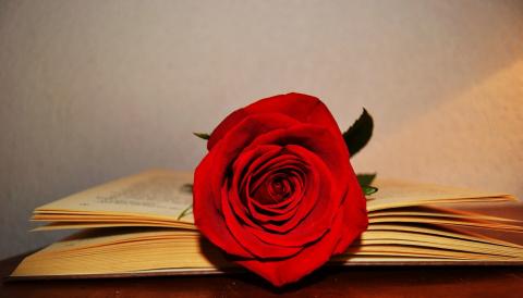 Sant Jordi