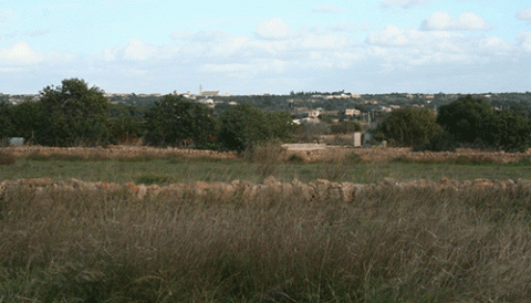 L’Ajuntament rehabilitarà un nou camí que connecti Ses Salines i la Colònia de Sant Jordi