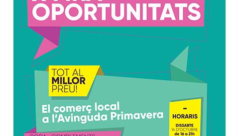 Arriba la X Fira d'Oportunitats de la Colònia de Sant Jordi