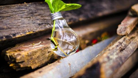 tècnic de mediambient